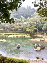 雨の日の庭園
