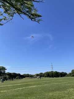 食べられなかったホットドッグ