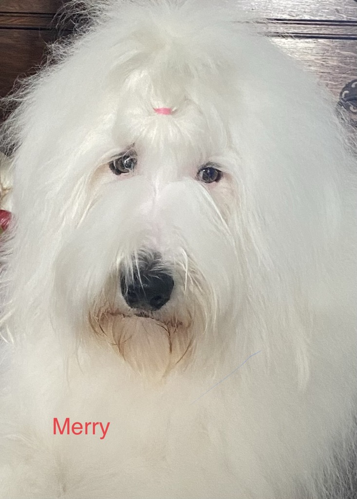 Madonna.Merry