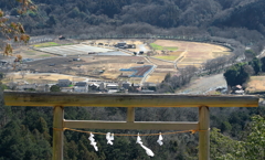 冬眠する彼岸花の里
