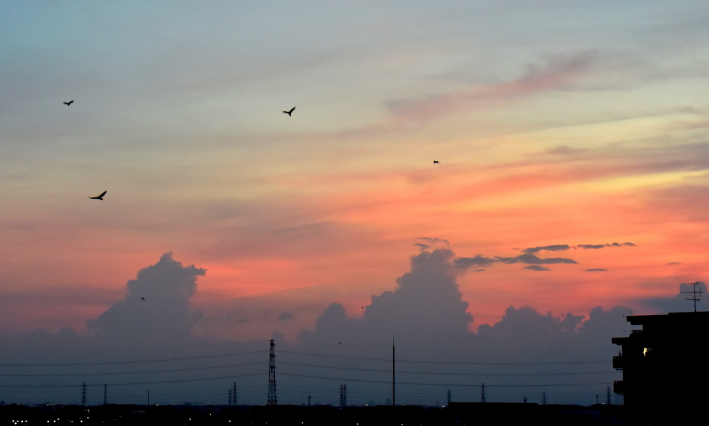 沈む夕日のセレナーデ