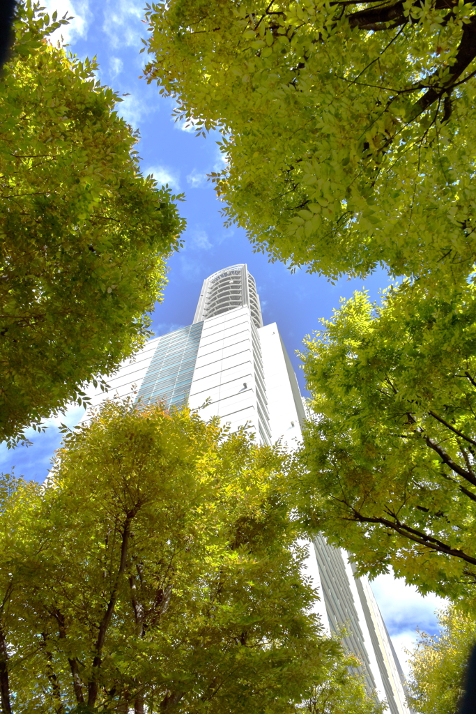 欅のジャンダルム