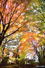 二人だけの紅葉