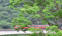 森が見た赤い風