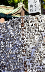 願い事ただ今渋滞中