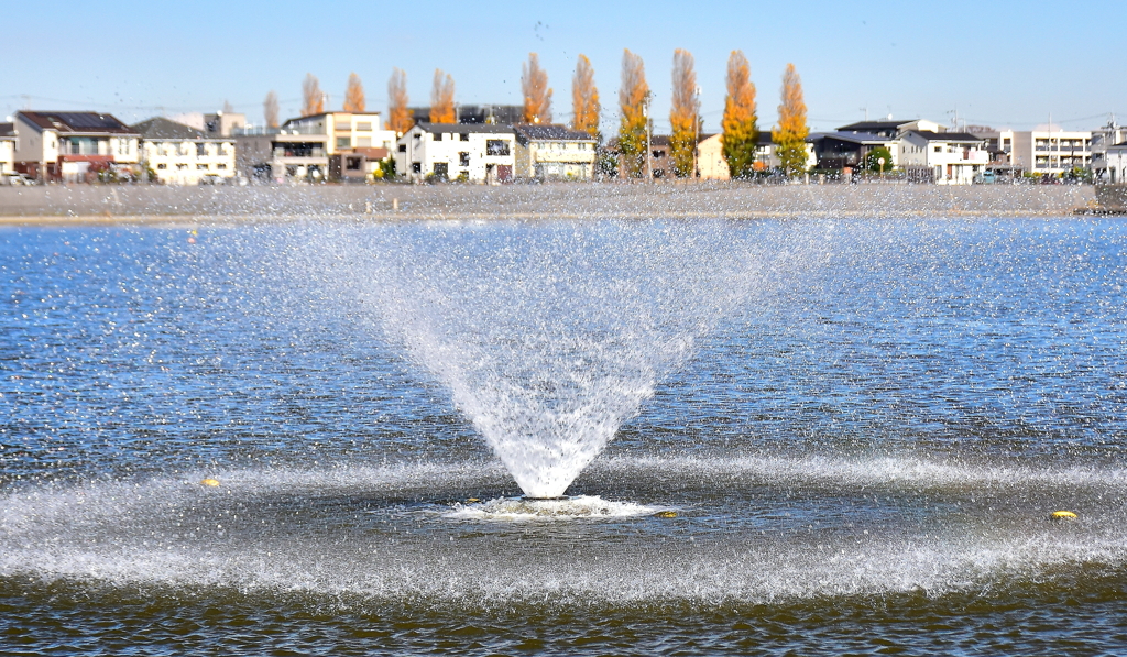 噴水のプレート.