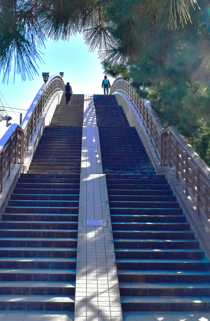 空へ向かう二人