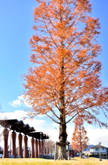 秋の締めくくり