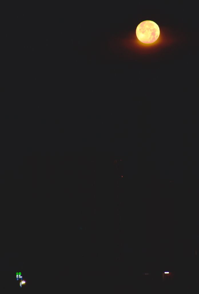 3日・初雪の翌日の黎明