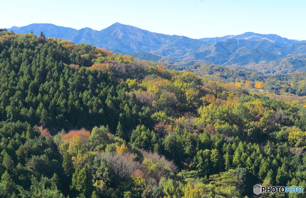 晩秋の比企三山