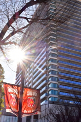 冬日に染まるレッズの街角