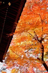 山寺の秋色