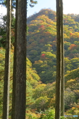 山装う