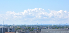 春から初夏へ