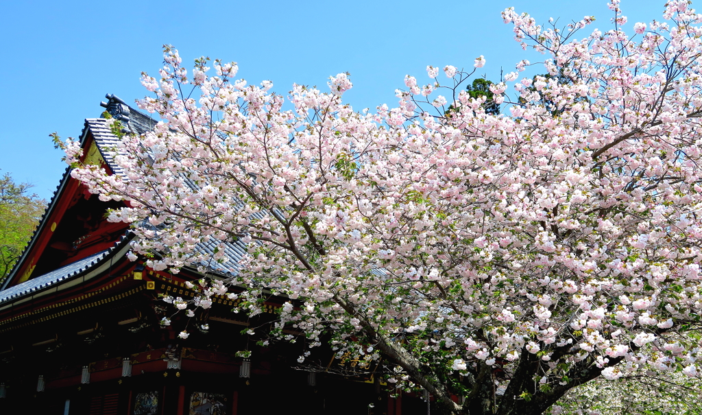花影の社