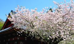 花影の社