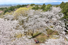 山頂からの春景色