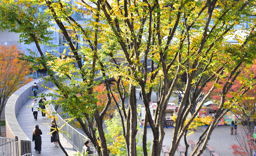 秋色の駅前広場