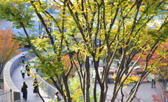 秋色の駅前広場