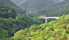 緑に溶ける一番電車