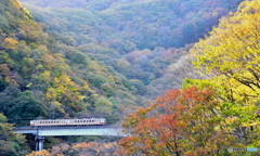 紅葉に抱かれて