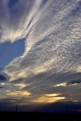 秋天のレクイエム 秋天のレクイエム