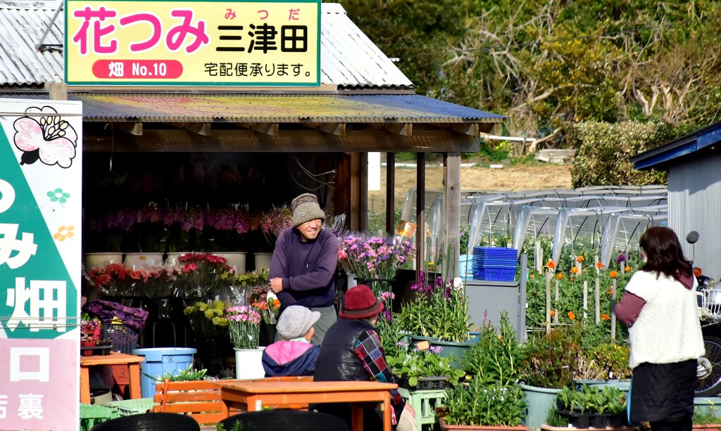 一足早い春①