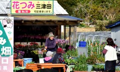 一足早い春①