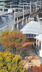 駅と紅葉の語らい