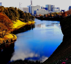 都会の夕暮れ・桜のささやき