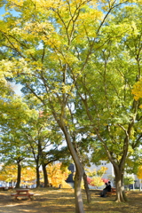 紅葉と黄葉に染まる二人