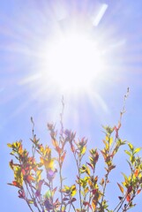 冬の彩り：夕化粧の奇跡①