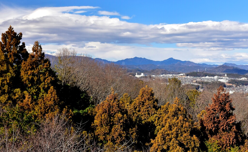 奥武蔵の冬景②