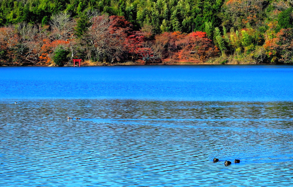 静寂と波動