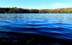 憂色と風紋の湖面