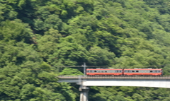 森を奔る赤い風