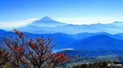 初秋富士遠望