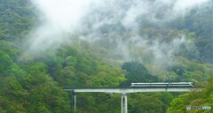 一番特急駆ける