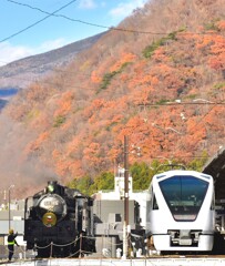 進化の瞬間