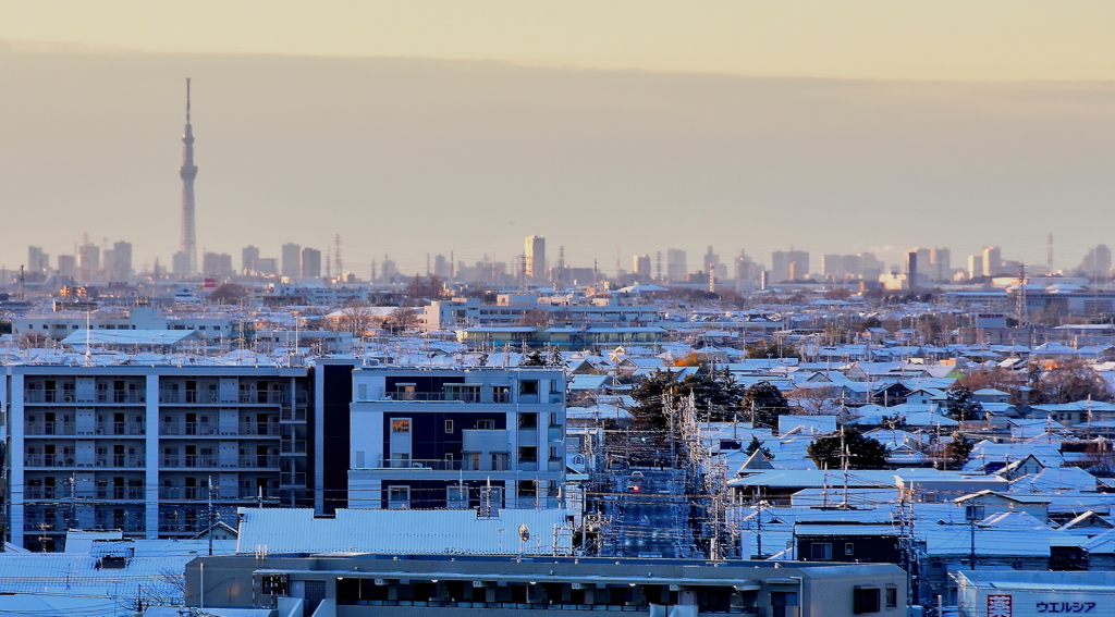 ３日・初雪の翌朝