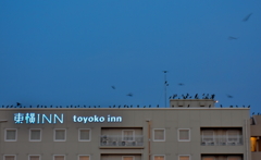 東の空に並ぶ鳥影たち