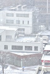 3/19・雪と青い傘のポエム