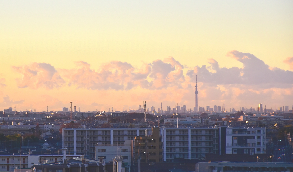 光る目覚めの東京