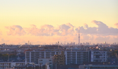 光る目覚めの東京