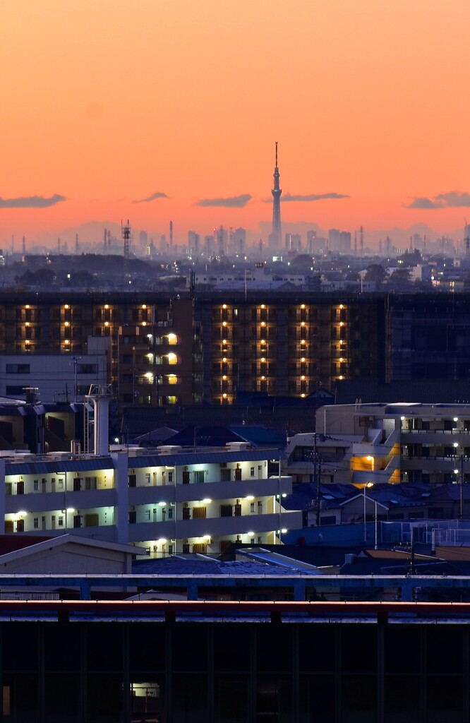 早暁の東京の調べ
