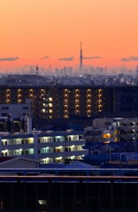 早暁の東京の調べ