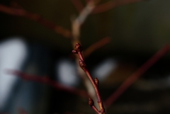 1000018298_edited