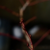 1000018298_edited