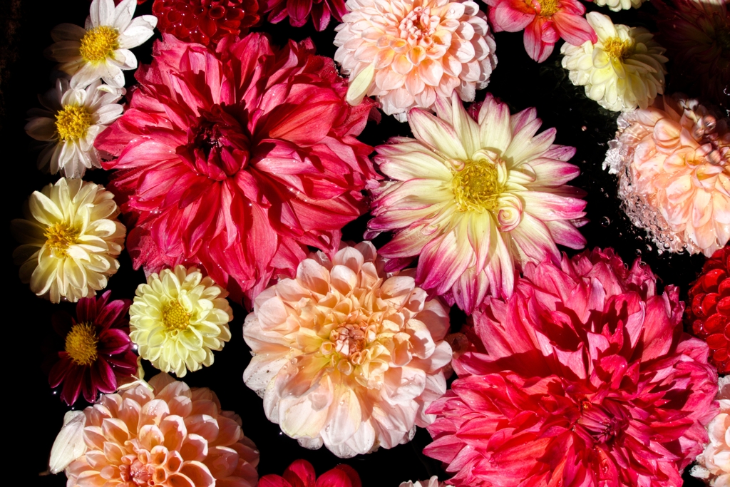 花手水