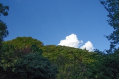 秋晴れ